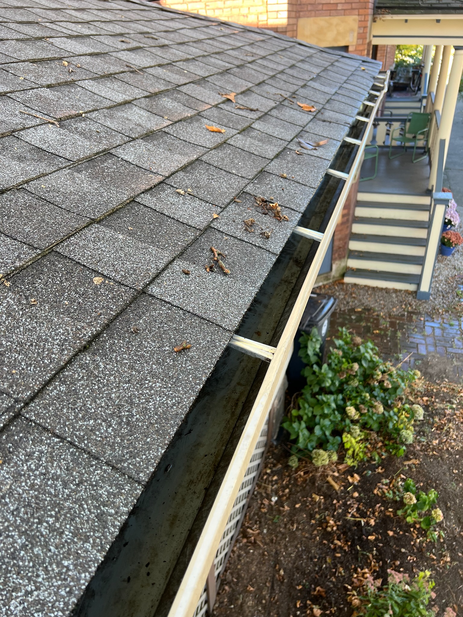 Gutter Cleaning